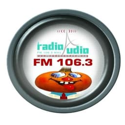 Radio Audio- 106.3 FM
