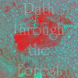 path_through_the_forest