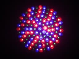 hed kandi club