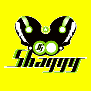 Dj Shaggy Venezuela
