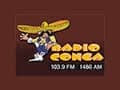 Radio Conga - 103.9 FM