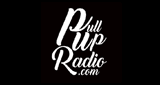 PullUpRadio