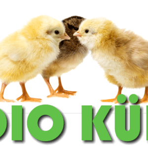 RADIO KUKEN